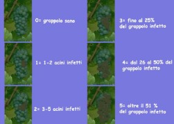 controllo patogeni